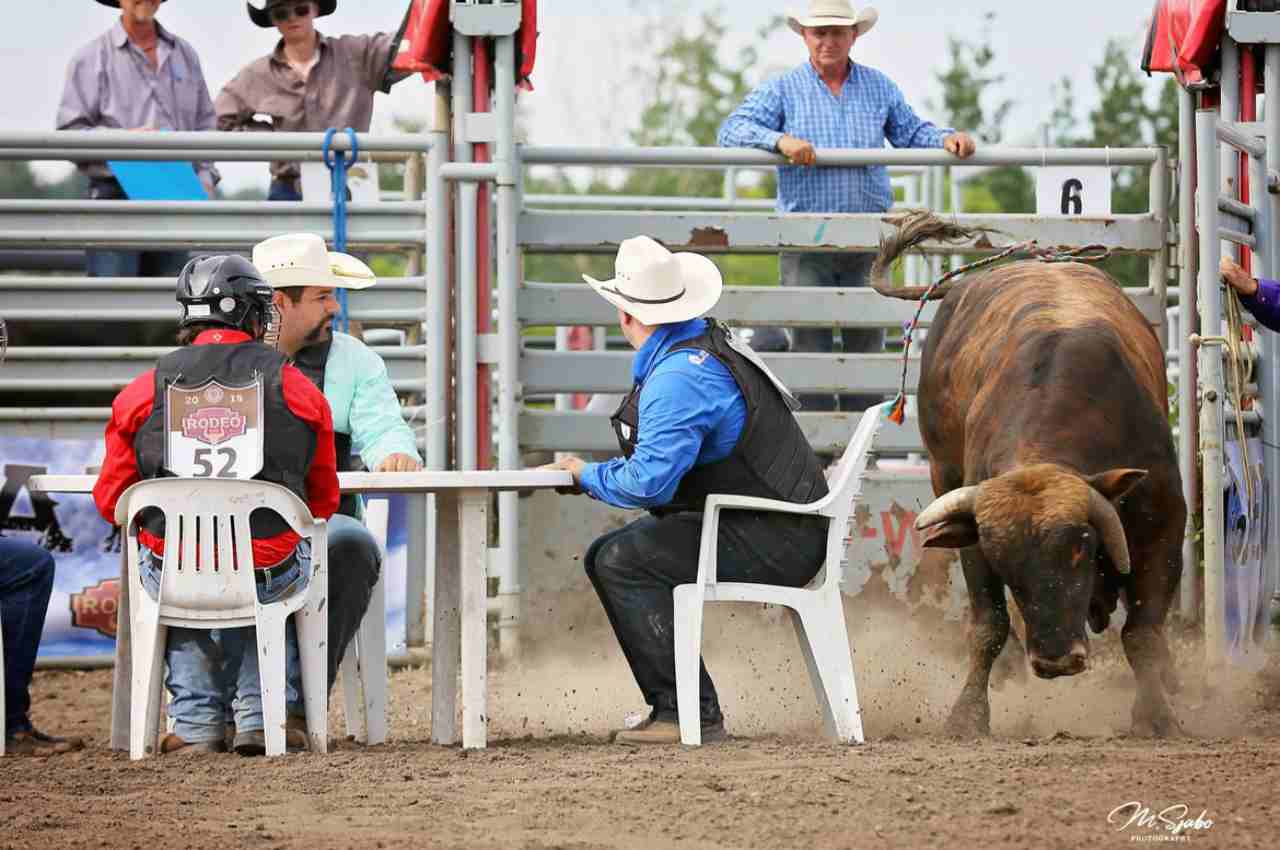 rodeo poker Convict angola rodeo luisiana