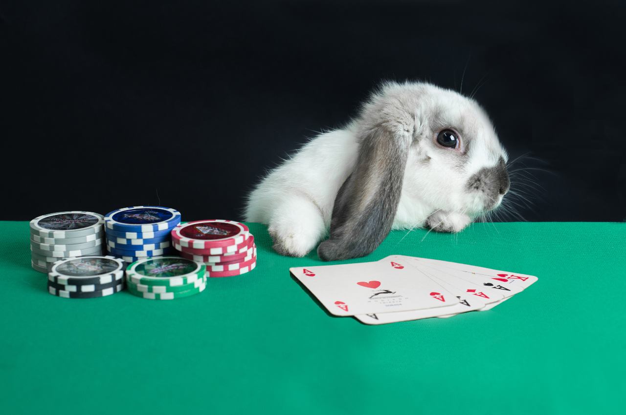 tolleranza al rischio poker e pandemia