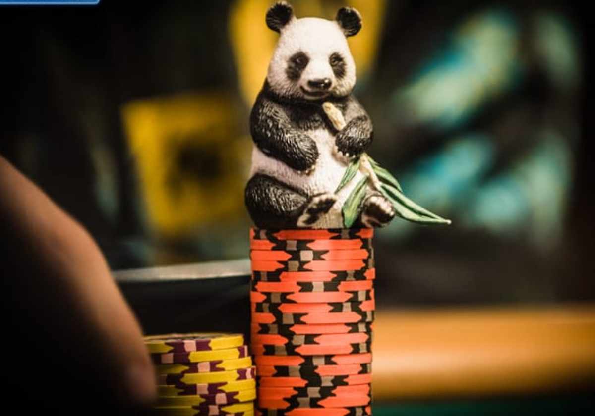 card protector panda