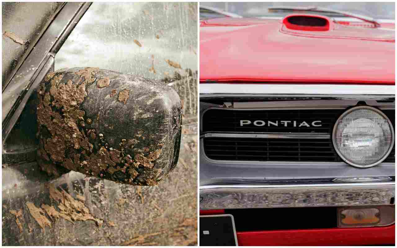 Pontiac (AdobeStock)